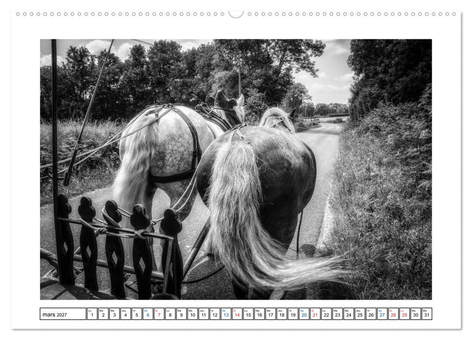 Sur la route avec le Cirque Bidon (CALVENDO Calendrier supérieur 2027)