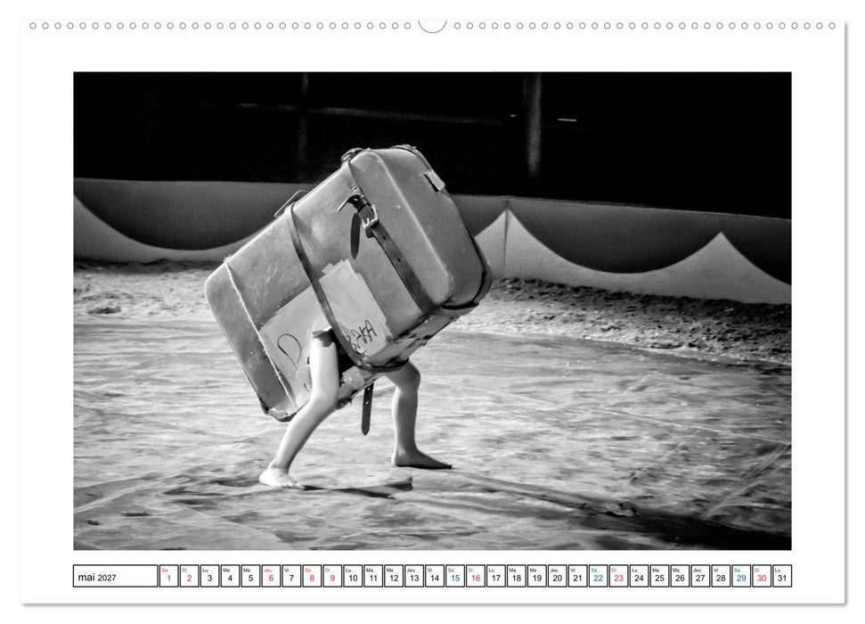 Sur la route avec le Cirque Bidon (CALVENDO Calendrier supérieur 2027)