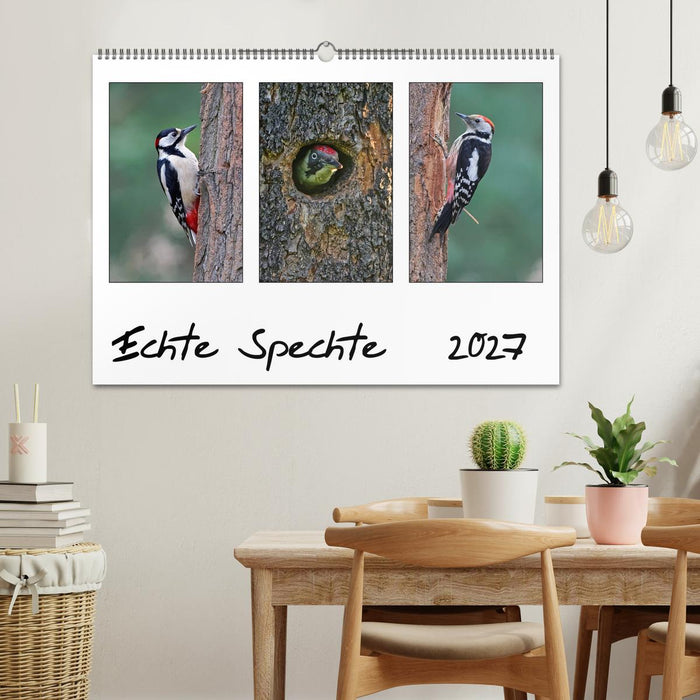 Echte Spechte (CALVENDO Wandkalender 2027)