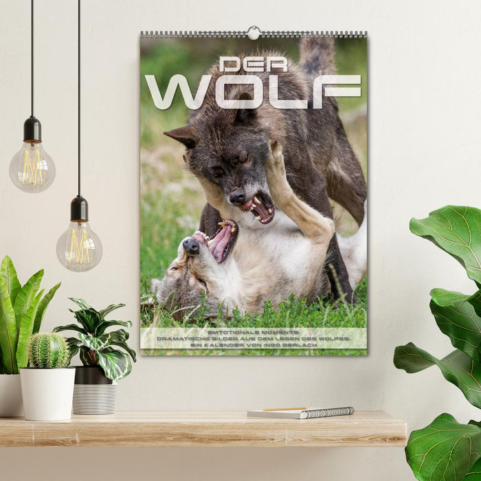Emotionale Momente: Der Wolf. (CALVENDO Wandkalender 2027)