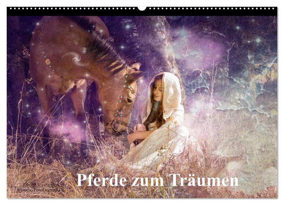 Pferde zum Träumen (CALVENDO Wandkalender 2027)