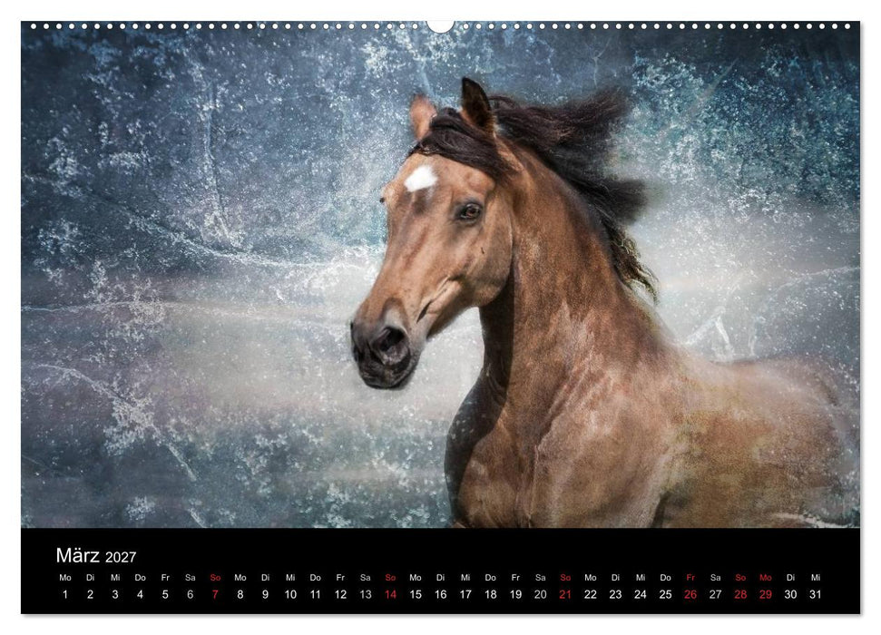 Pferde zum Träumen (CALVENDO Wandkalender 2027)