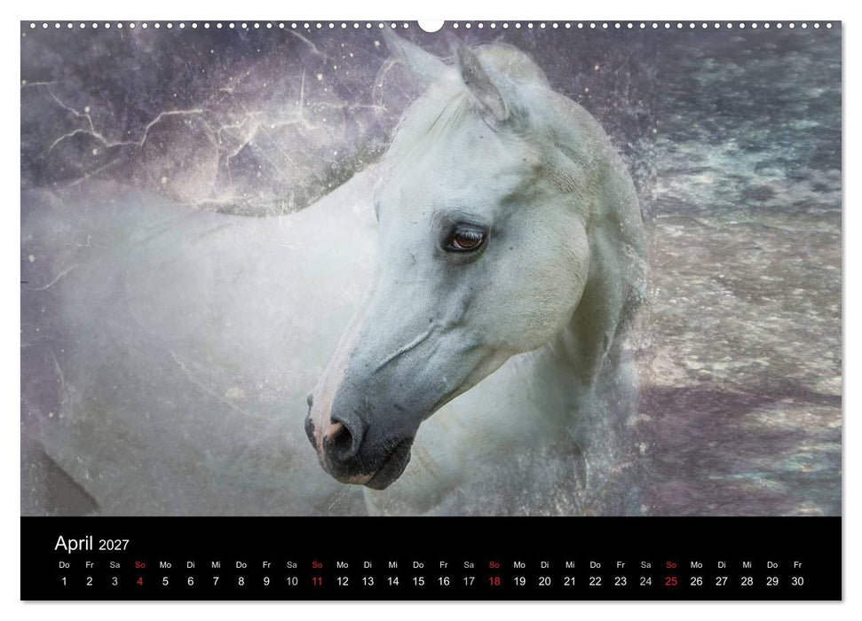 Pferde zum Träumen (CALVENDO Wandkalender 2027)