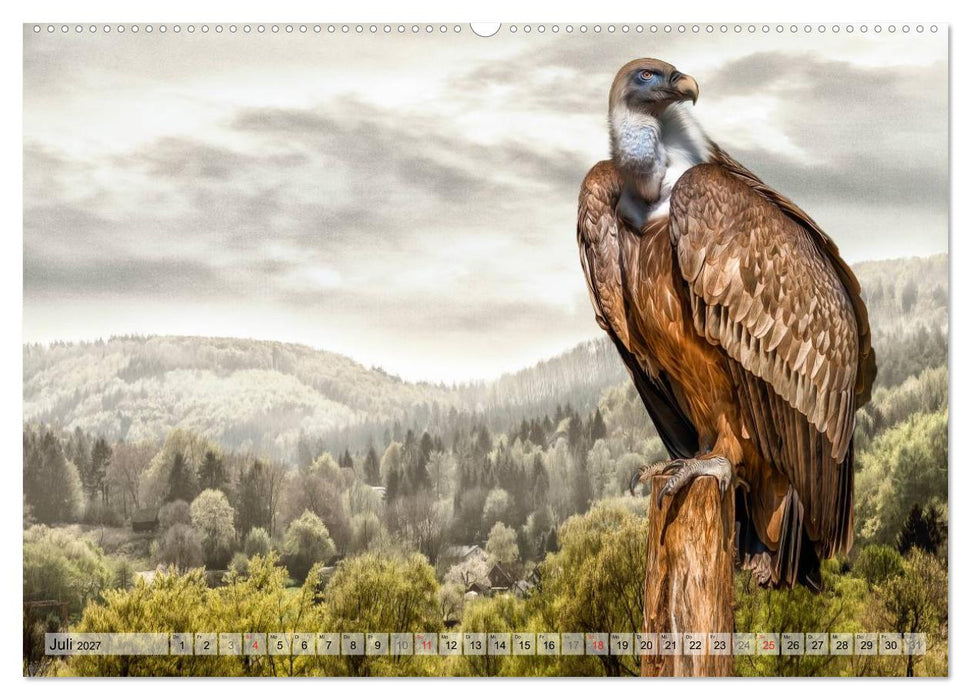 Faszinierende Greifvögel hautnah (CALVENDO Premium Wandkalender 2027)
