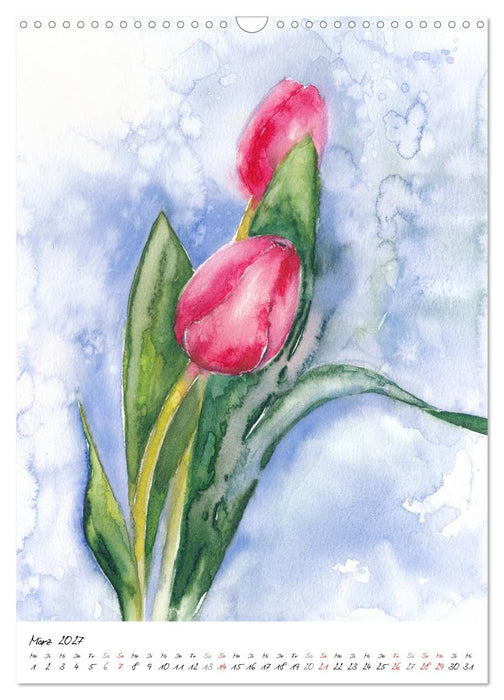 Blütenaquarelle (CALVENDO Wandkalender 2027)