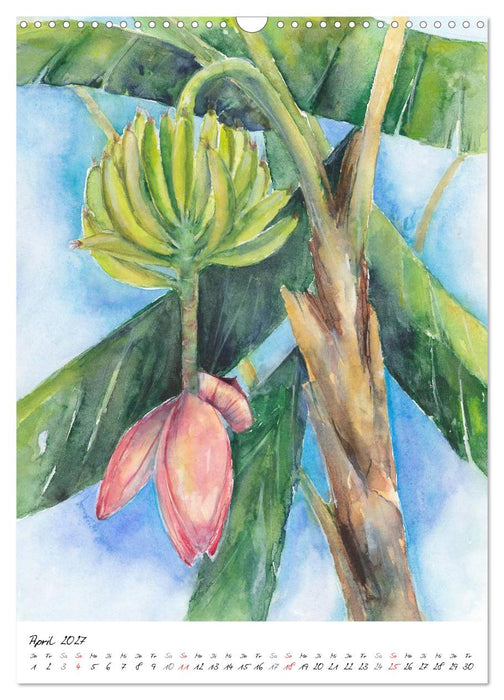 Blütenaquarelle (CALVENDO Wandkalender 2027)