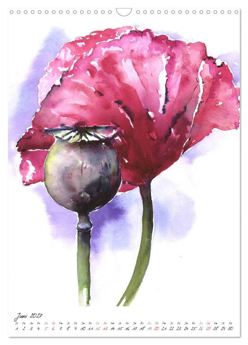 Blütenaquarelle (CALVENDO Wandkalender 2027)