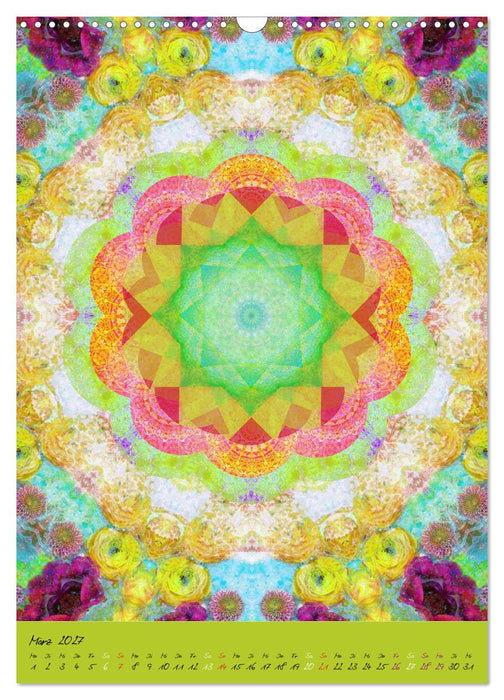 MANDALAS der Natur (CALVENDO Wandkalender 2027)