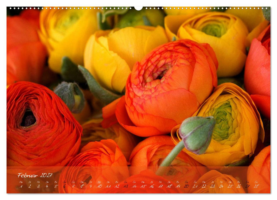 Blüten dicht an dicht (CALVENDO Premium Wandkalender 2027)
