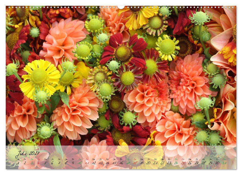 Blüten dicht an dicht (CALVENDO Premium Wandkalender 2027)