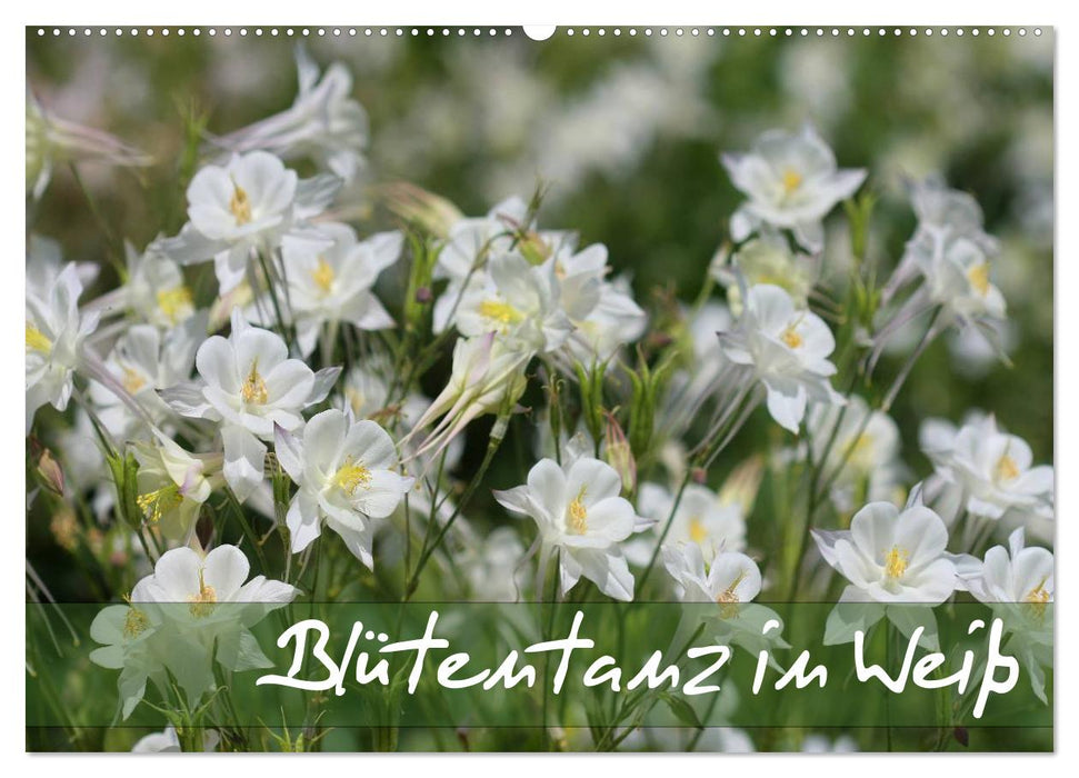 Blütentanz in Weiß (CALVENDO Wandkalender 2027)