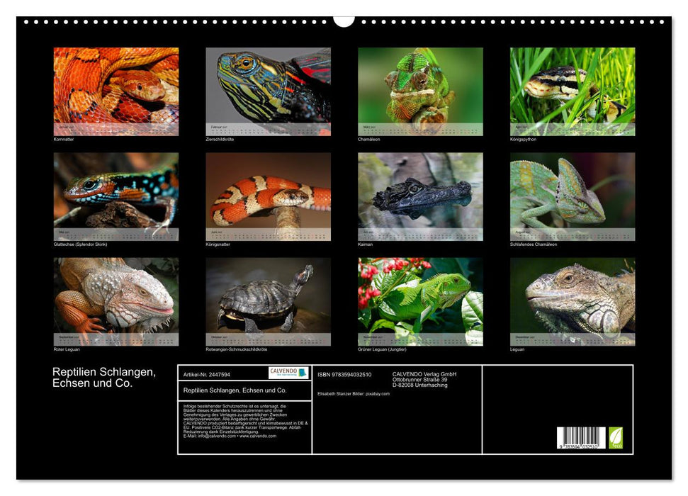 Reptilien Schlangen, Echsen und Co. (CALVENDO Wandkalender 2027)