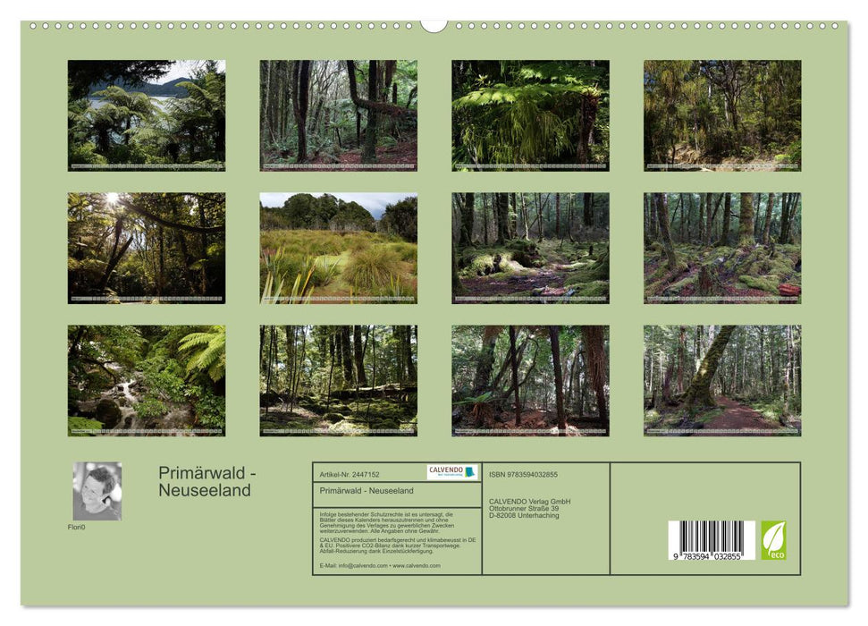Primärwald - Neuseeland (CALVENDO Premium Wandkalender 2027)