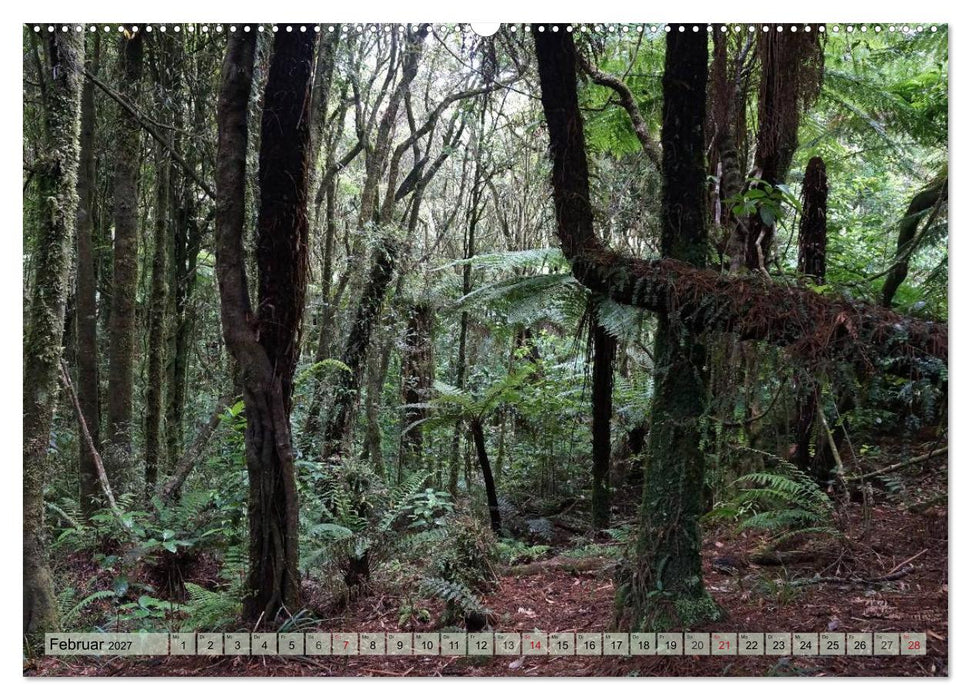 Primärwald - Neuseeland (CALVENDO Premium Wandkalender 2027)