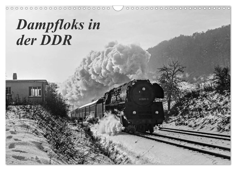 Dampfloks in der DDR (CALVENDO Wandkalender 2027)