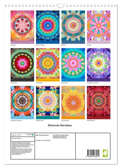 Blühende Mandalas (CALVENDO Wandkalender 2027)