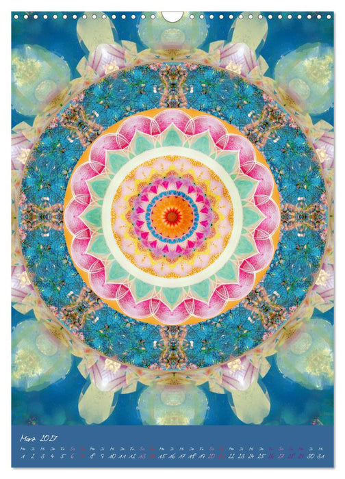 Blühende Mandalas (CALVENDO Wandkalender 2027)