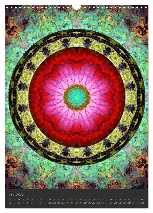 Blühende Mandalas (CALVENDO Wandkalender 2027)