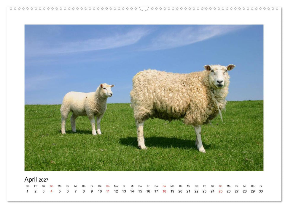Sylt - Tage am Meer (CALVENDO Wandkalender 2027)