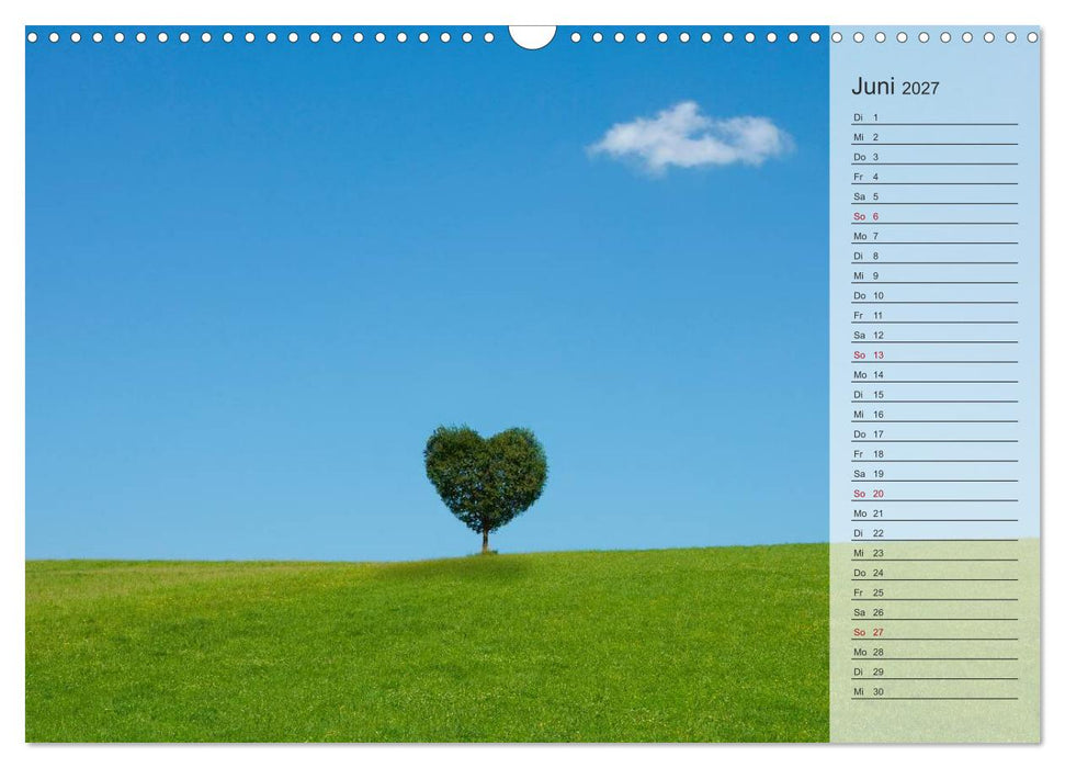 Tage von Herzen (CALVENDO Wandkalender 2027)