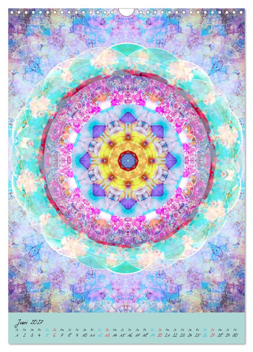 BLUMEN MANDALAS (CALVENDO Wandkalender 2027)