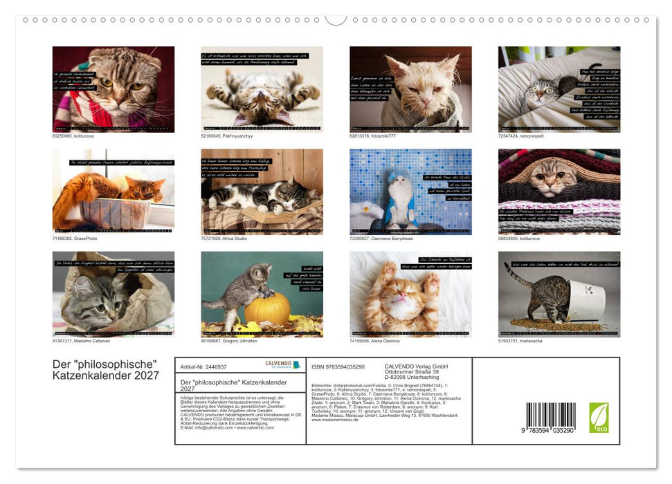 Der "philosophische" Katzenkalender 2027 (CALVENDO Premium Wandkalender 2027)