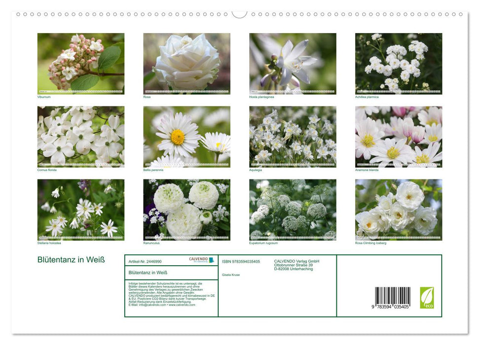 Blütentanz in Weiß (CALVENDO Premium Wandkalender 2027)