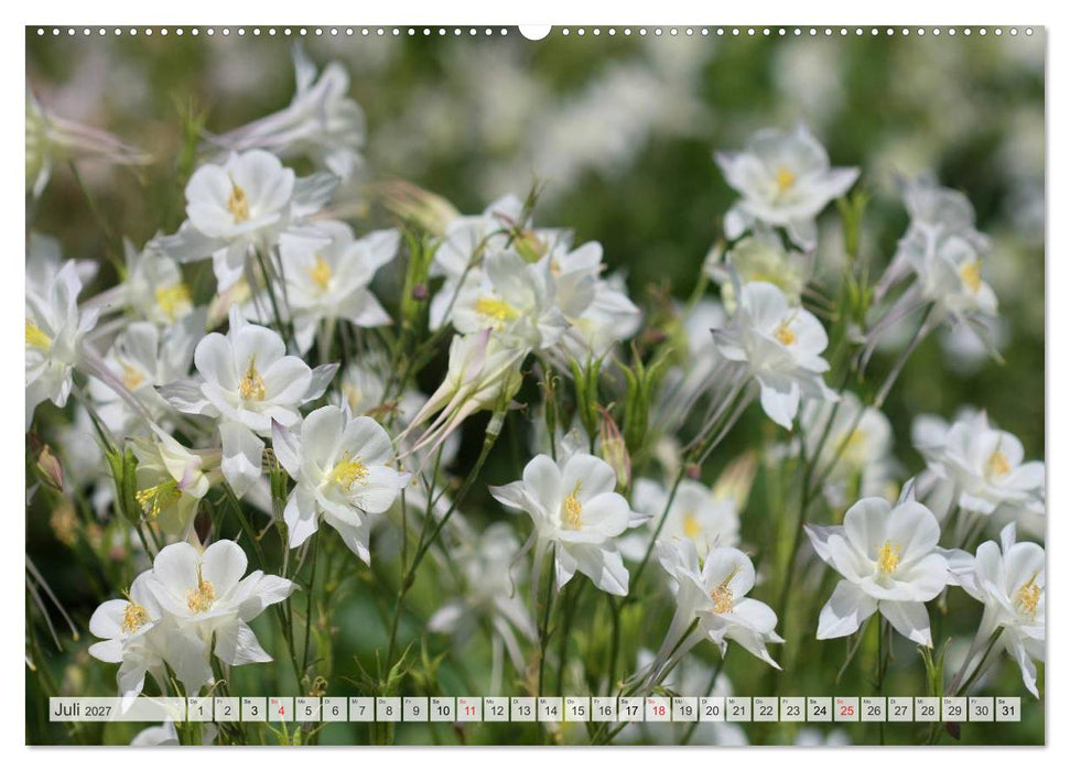 Blütentanz in Weiß (CALVENDO Premium Wandkalender 2027)