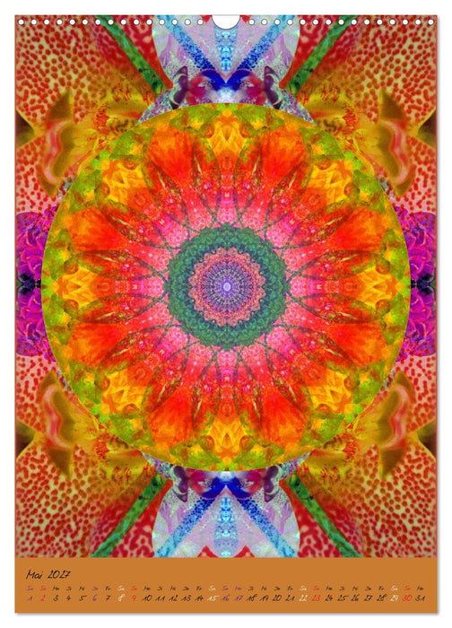 Mandala Energien (CALVENDO Wandkalender 2027)