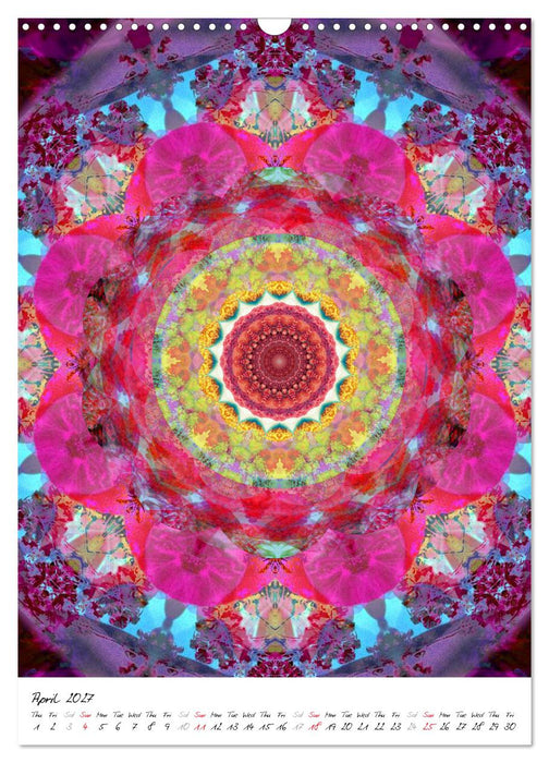 MANDALA COMPOSITIONS (CALVENDO Monthly Calendar 2027)