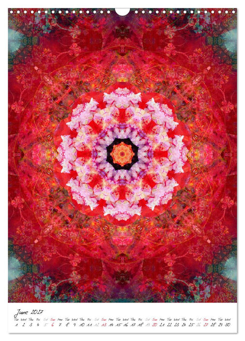 MANDALA COMPOSITIONS (CALVENDO Monthly Calendar 2027)