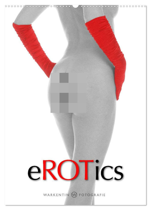 eROTics (CALVENDO Wandkalender 2027)