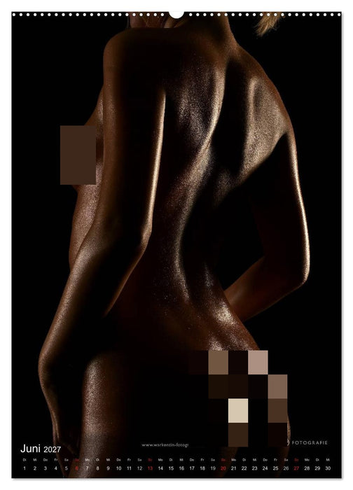 bodyparts (CALVENDO Wandkalender 2027)