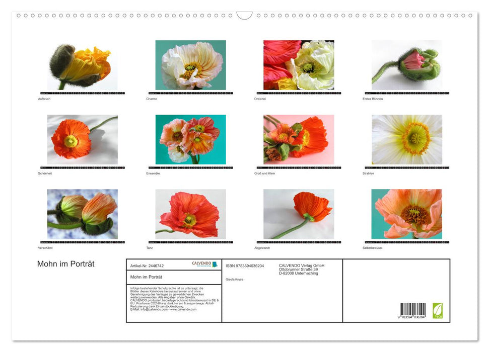Mohn im Porträt (CALVENDO Wandkalender 2027)
