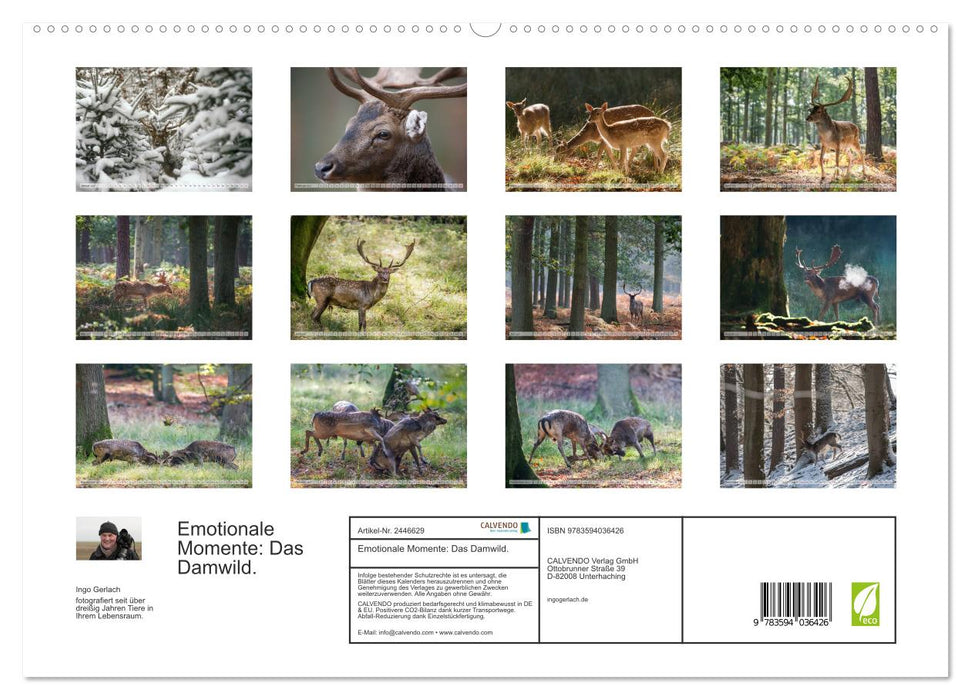 Emotionale Momente: Das Damwild. (CALVENDO Premium Wandkalender 2027)