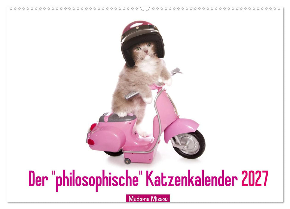 Der "philosophische" Katzenkalender 2027 (CALVENDO Wandkalender 2027)