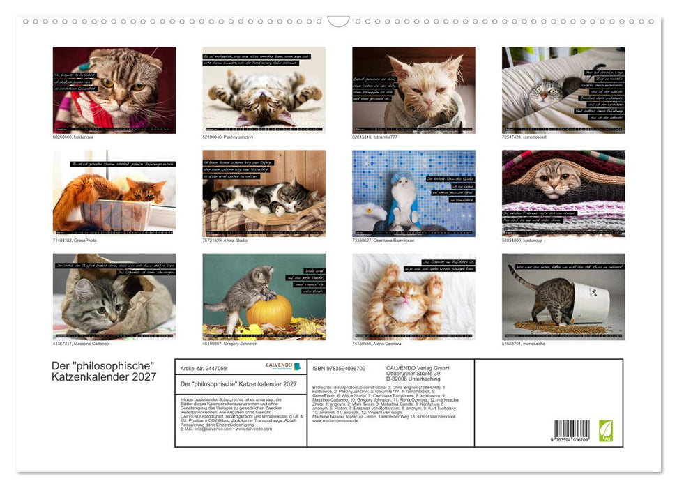Der "philosophische" Katzenkalender 2027 (CALVENDO Wandkalender 2027)