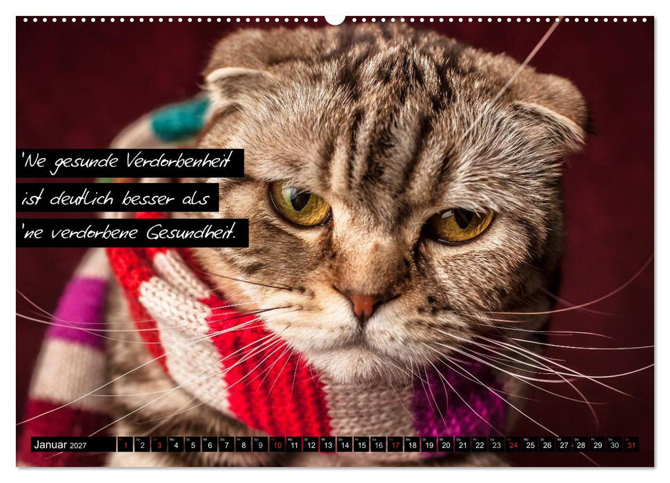 Der "philosophische" Katzenkalender 2027 (CALVENDO Wandkalender 2027)