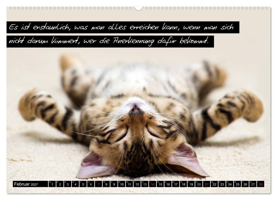 Der "philosophische" Katzenkalender 2027 (CALVENDO Wandkalender 2027)