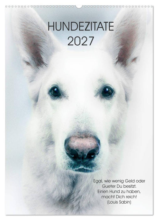 Hundezitate 2027 (CALVENDO Wandkalender 2027)
