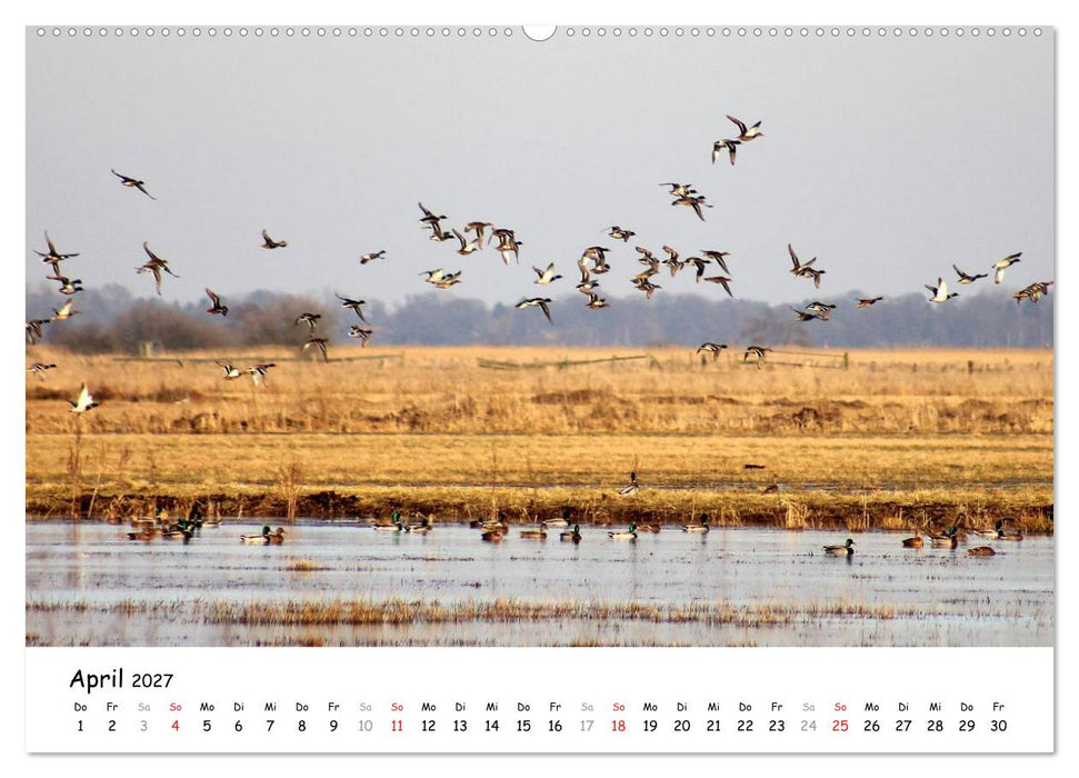 Unterwegs im Teufelsmoor (CALVENDO Wandkalender 2027)