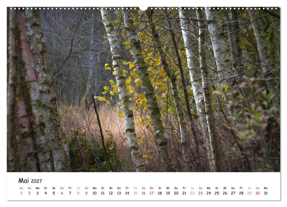 Unterwegs im Teufelsmoor (CALVENDO Wandkalender 2027)