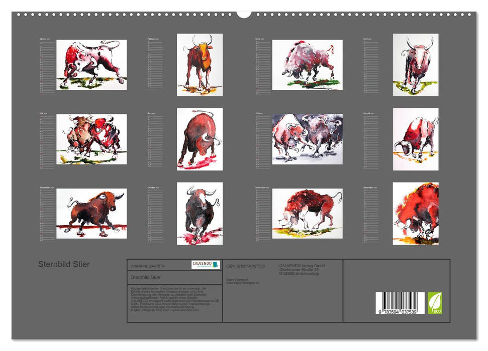 Sternbild Stier (CALVENDO Premium Wandkalender 2027)