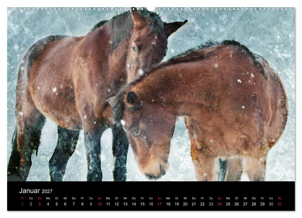 Pferde zum Träumen (CALVENDO Premium Wandkalender 2027)
