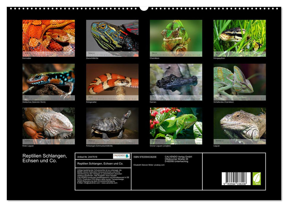 Reptilien Schlangen, Echsen und Co. (CALVENDO Premium Wandkalender 2027)
