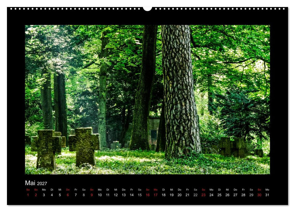 Heidelberg Views - Heidelberger Ansichten (CALVENDO Wandkalender 2027)