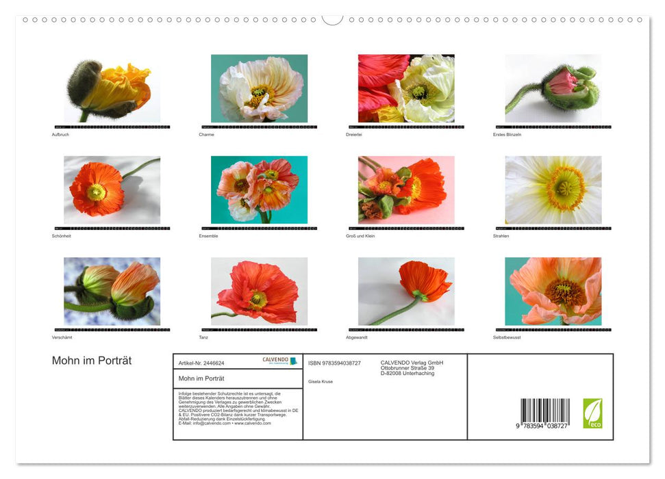 Mohn im Porträt (CALVENDO Premium Wandkalender 2027)