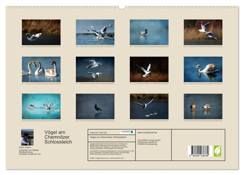 Vögel am Chemnitzer Schlossteich (CALVENDO Premium Wandkalender 2027)