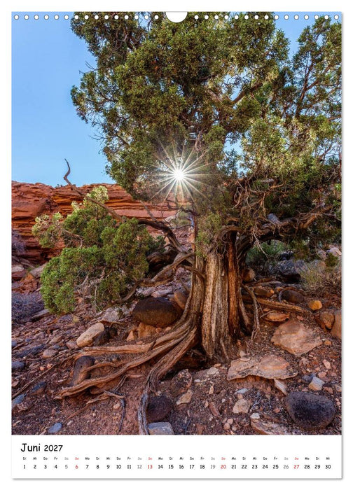 Eine Reise durch die Canyons der USA (CALVENDO Wandkalender 2027)