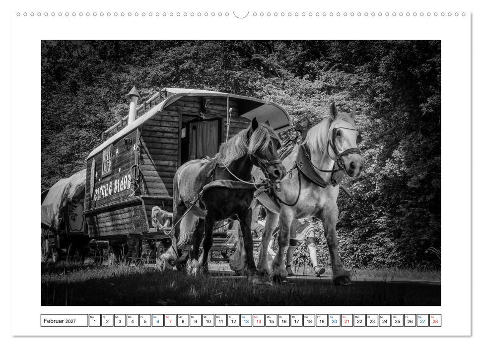 Unterwegs mit dem Zirkus (CALVENDO Wandkalender 2027)